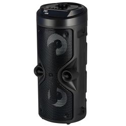 Altavoz Bluetooth ZQS-4209 de Torre con Radio FM y USB